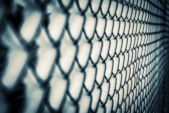 Wire mesh fence with ice, Unterallg&auml;u, Bavaria, Germany