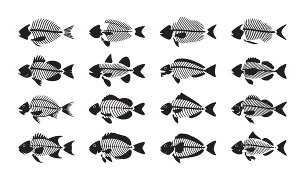 Fish skeleton vector icon animal bone fishbone logo ghost dead fish symbol sign illustration.