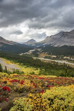 View into the valley with Icelfields Parkway, view of mountain landscape and glaciers in autumn, mountains Hilda Peak and Nigel Peak, Jasper National Park National Park, Canadian Rocky Mountains, Alberta, Canada