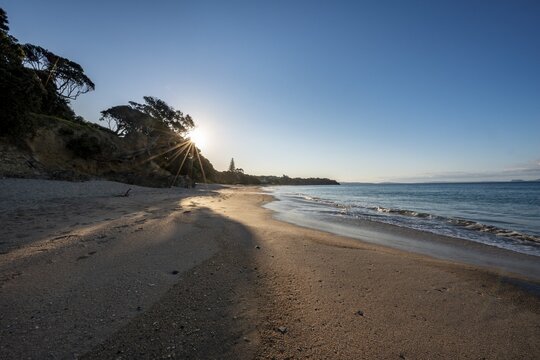 Sunbeams shine through trees on the sandy beach, evening light, Langs Beach, near Mangawhai Head, Northland, New Zealand