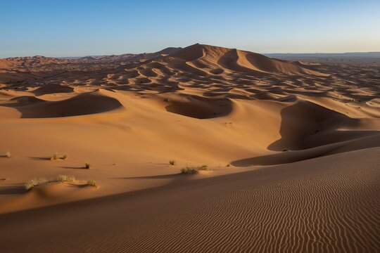 Sand dunes in the desert, dune landscape Erg Chebbi, Merzouga, Sahara, Morocco