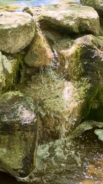 Water flows over rocks in a stream captured in a natural setting surrounded by greenery in the afternoon sunlight
