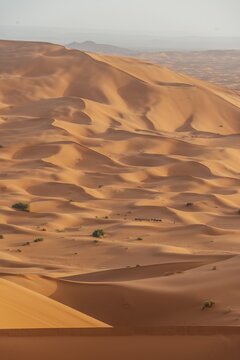Caravan between sand dunes in the desert, dune landscape Erg Chebbi, Merzouga, Sahara, Morocco