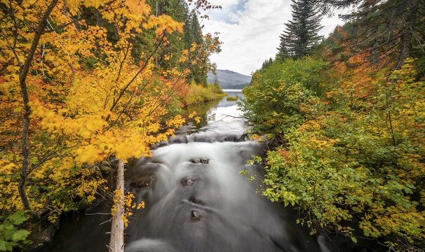 Trees with colourful autumn colours, red orange leaves, autumn vegetation at the river Marion Creek, long-term photo, Oregon, USA