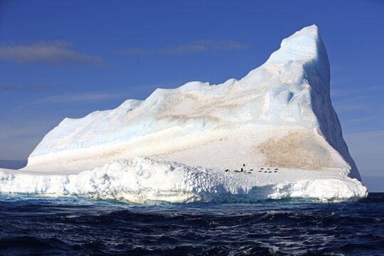 Iceberg, Weddell Sea, Antarctica