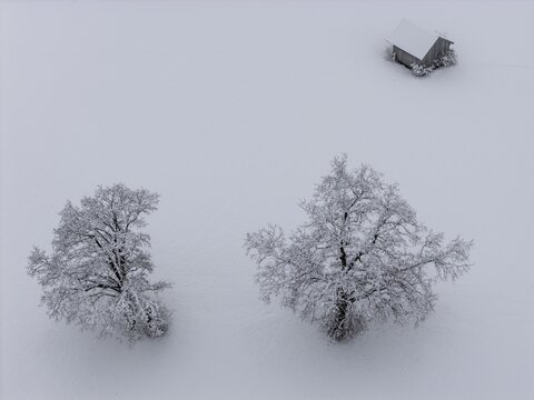 Trees, wooden hut, snow, winter, onset of winter, aerial view, foothills of the Alps, Bavaria, Germany