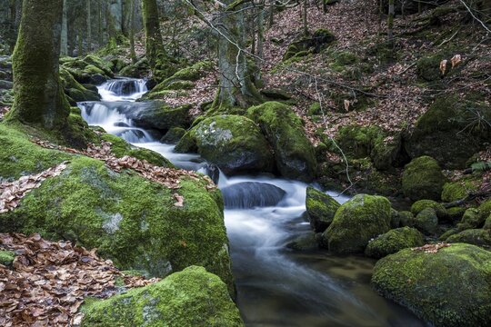 Gertelbach, Gertelbach Waterfalls, Gertelbach Falls, Gertelbach Gorge, B&uuml;hl, B&uuml;hlertal, Northern Black Forest, Black Forest, Baden-W&uuml;rttemberg, Germany
