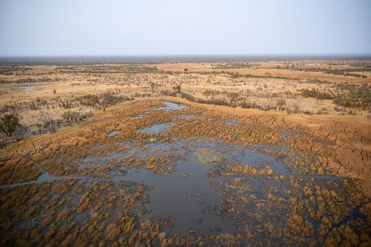 Wetland, landscape, aerial view of the Okavango Delta, near Maun, Okavango Delta, Botswana