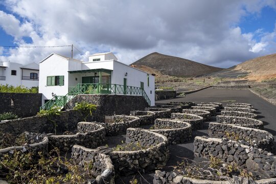 Typical white house between volcanic landscape, traditional winegrowing on Lapilli volcanic sand, Lanzarote, Canary Islands, Spain