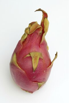Dragon fruit (triangular hylocereus)