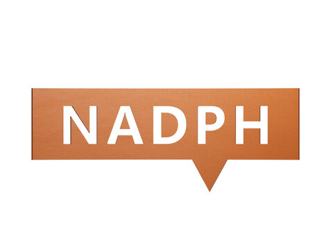The word NADPH is written on Speech Bubble. Medical concept.Minimalist Abstract Design With White Cut Out Paper.Supports PNG files with transparent backgrounds.
