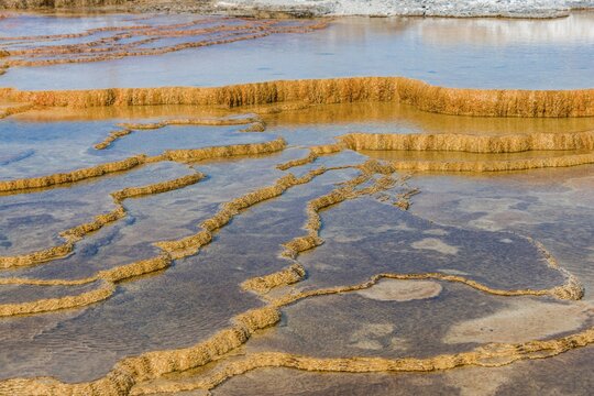 Sinter terraces, hot springs, orange mineral deposits, Palette Springs, Upper Terraces, Mammoth Hot Springs, Yellowstone National Park, Wyoming, USA