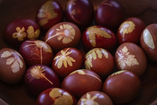 Easter eggs traditionally colored with onion skins, tights and small plants and flowers in a wooden bowl