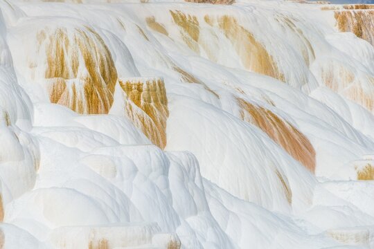 Sinter terraces with calcareous tuff deposits, hot springs, colorful mineral deposits, Palette Springs, Lower Terraces, Mammoth Hot Springs, Yellowstone National Park, Wyoming, USA