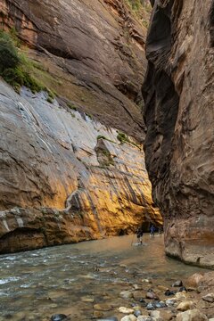 The Narrows, Virgin River, steep walls, Zion Canyon, Zion National Park, Utah, USA