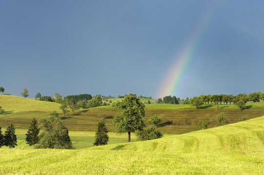 Cultural landscape in the Swiss Plateau with a rainbow, Canton Zug, Switzerland, Europe