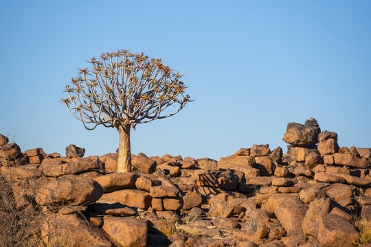 Stacked red rocks, rock formations, Giants Playground, Keetmanshoop, Namibia