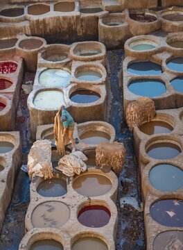 Worker dyeing leather, basin with paint, dyeing, tannery Tannerie Chouara, tanner and dyer quarter, Fes el Bali, Fez, Morocco