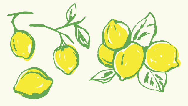 Lemons hand drawn vector illustration. Not AI