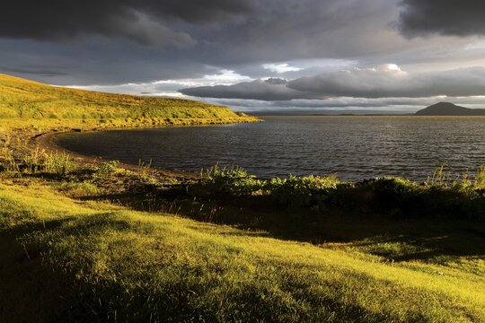 Small bay in the evening light, M&yacute;vatn, North Iceland, Iceland