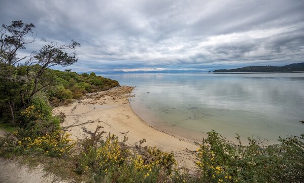 Beach at Sandy Bay, Abel Tasman Coastal Track, Abel Tasman National Park, Marahau, Tasman, South Island, New Zealand