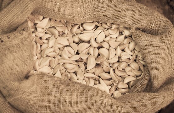 Garlic (Allium sativum) in a jute bag