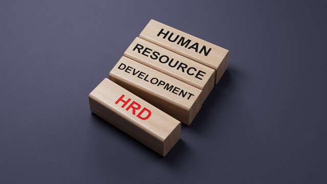 HRD HUMAN RESOURCE DEVELOPMENT word on the wooden blocks. wooden blocks. Copy space.3D rendering