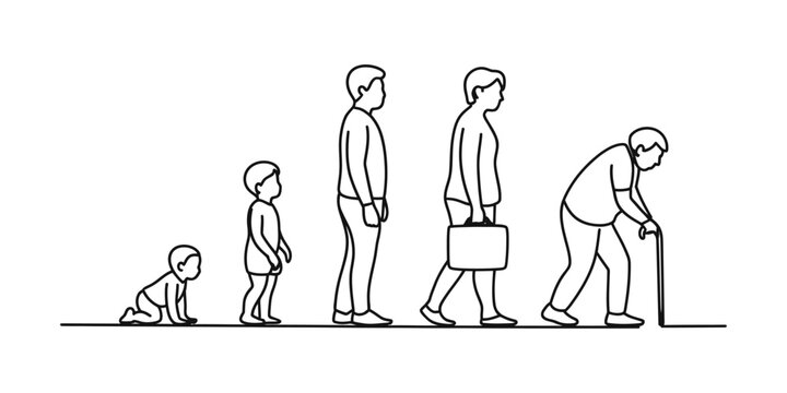 Stages of human life from baby to old age, line art illustration Vector, illustration