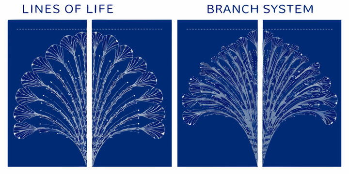 structured illustrations of plant branch systems on blue background high quality professional detailed modern elegant