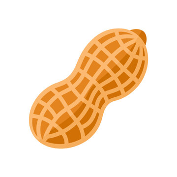 peanut shell icon natural food symbol