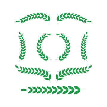 laurel leaves logo icons elements set for graphic designer