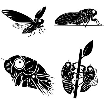 Collection of cicada and lanternfly silhouettes in various poses black and white vector illustration white background detailed