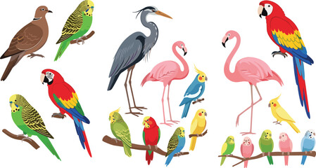 Naklejka premium Colorful Exotic Tropical Bird Set with Macaw, Parrot, Flamingo, Budgerigar, and Heron for Nature, Wildlife, and Pet Themed Designs