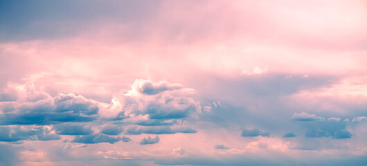 Obraz premium Pink and blue pastel clouds drift across a serene sunrise sky, creating an ethereal, dreamlike atmosphere and soft, fluffy cloudscape ideal for tranquil nature backgrounds