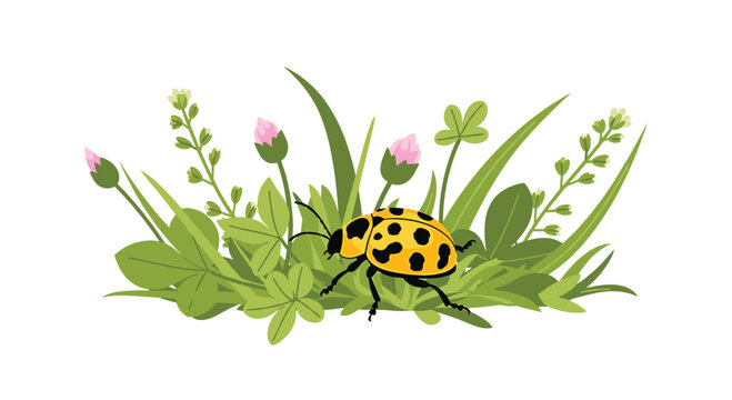 A vibrant yellow beetle with black spots rests within a small cluster of green grass and clover leaves featuring delicate light pink floral buds on white.