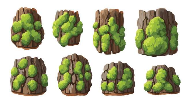 Eight individual patches of rough textured dark tree bark are covered in thick patches of bright green moss set against a clean white background.