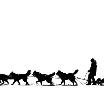Silhouette of man mushing through snowy landscape.