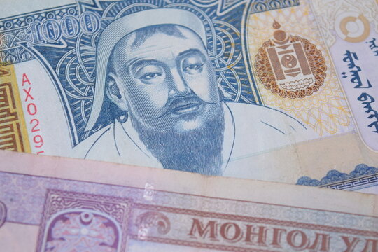 1000 Mongolian Tugrik (Togrog) banknote highlighting its detailed financial pattern and texture