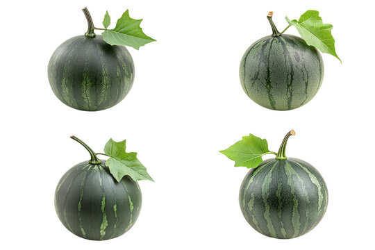 Fresh watermelon
