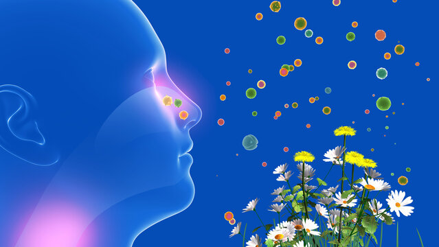 3D illustration of a human head in profile view. Alongside flowers, plants, and pollen that cause spring allergies, nasal irritation, coughs, and sore throats. 