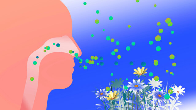 3D illustration of a human head in profile with the upper respiratory system (ENT). Breathing in flower pollen that triggers spring allergies. Side view with a flat color graphic style.