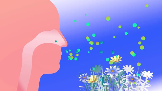 3D animation of a human head in profile with the upper respiratory system (ENT). Breathing in flower pollen that triggers spring allergies. 
