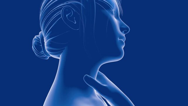 3d animation of a female human figure highlighting the upper respiratory system (ENT). She is shown clutching her throat, indicating pain, discomfort, and irritation. 