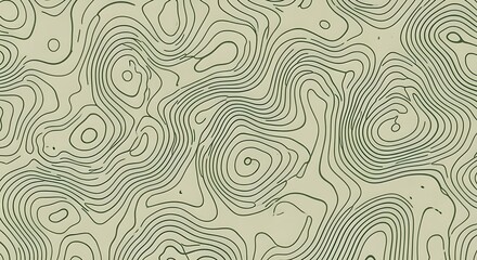Fototapeta premium Abstract topographic map background with flowing olive green contour lines. Organic wavy pattern inspired by geography, landscape elevation, and natural textures.