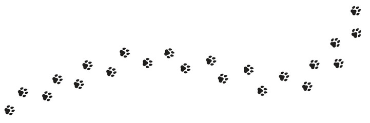 Paw footprint of dog or cat on white background. © Sumeth