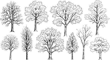 Obraz premium silhouettes of people working group of standing business people vector