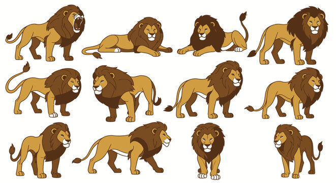 Lion Various Poses and Expressions.