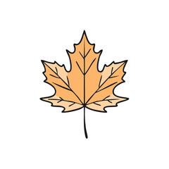 Obraz premium Single stylized orange maple leaf with veins isolated on white background