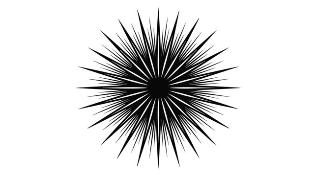 Black and white radial burst starburst pattern with sharp symmetrical spikes radiating from center on white background