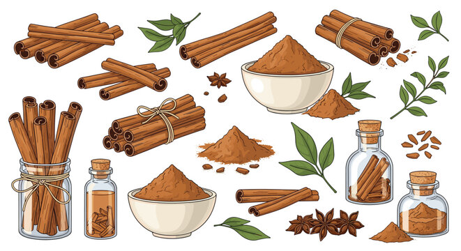 Assortment of cinnamon sticks ground spice powder and essential oil bottles are shown in a detailed hand drawn style.